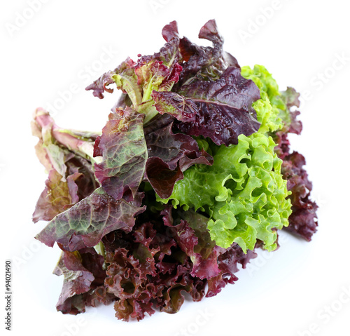 Bunch of lettuce isolated on white