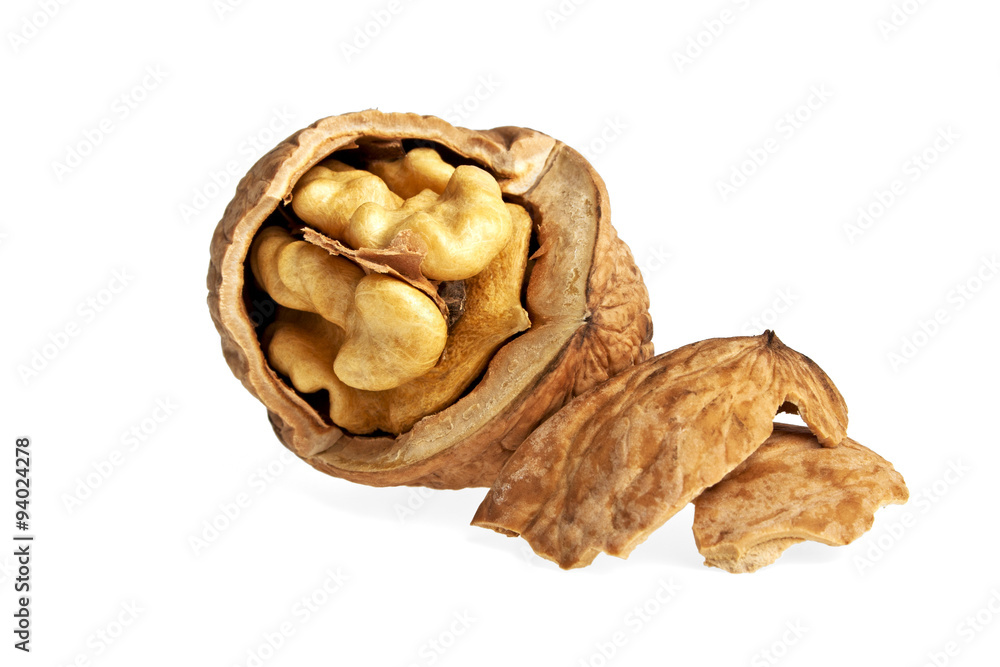 Dried walnuts isolated on white background Dried walnuts isolated on white background