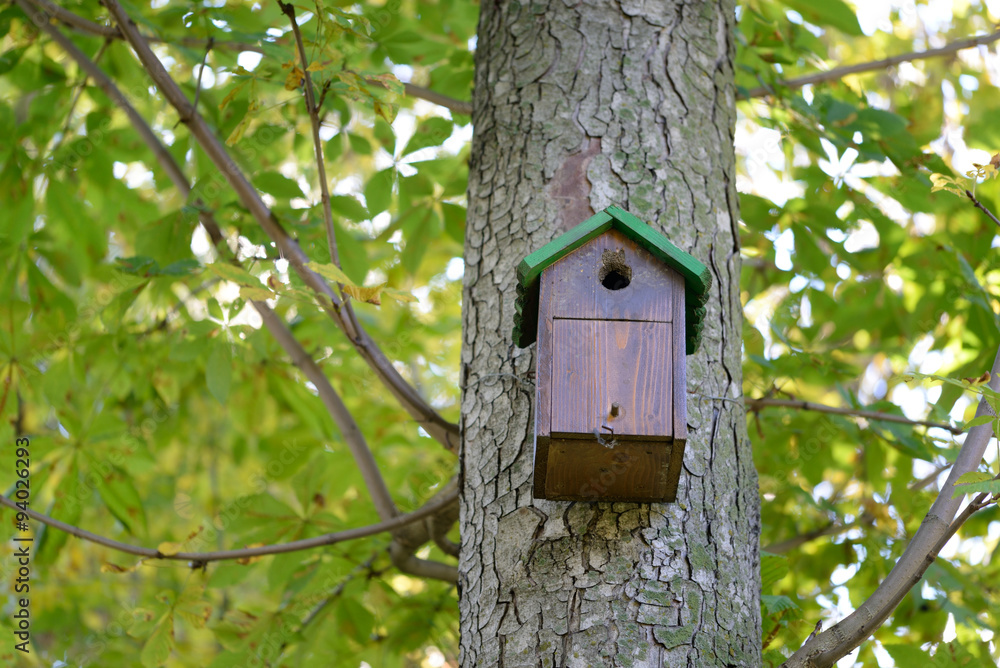 Tree house for birds