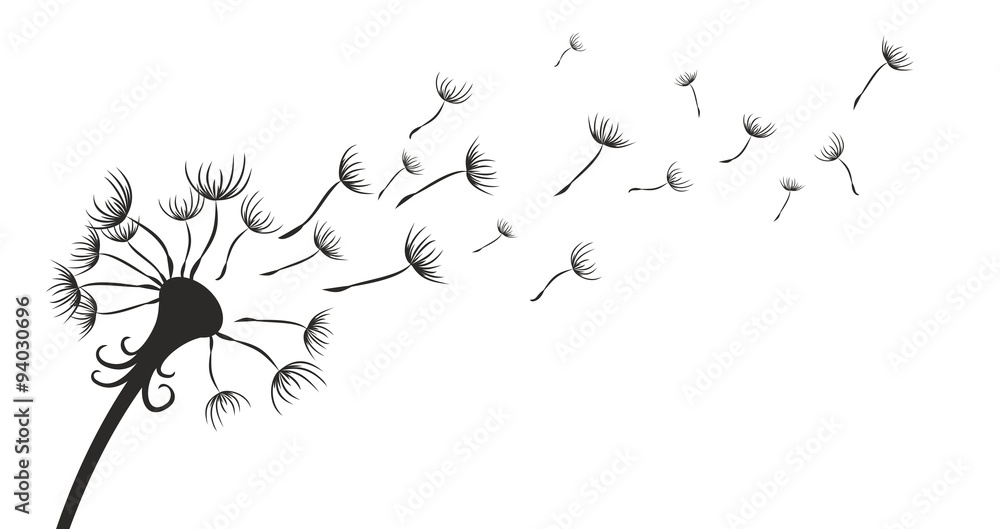 Obraz premium Dandelion.