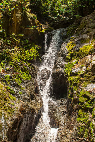 Mountain waterfall in the forest