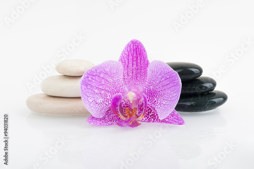 Spa theme - stones and an Orchid flower