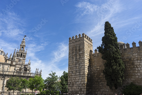 vistas de la Sevilla monumental desde la plaza del Triunfo, Andalucía
