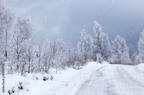 Winter landscape with snowy fir trees