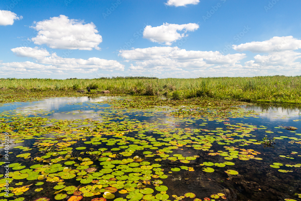 Obraz premium Wetlands in Nature Reserve Esteros del Ibera, Argentina