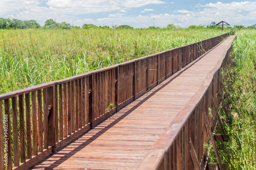 Fototapeta Naklejka Na Ścianę i Meble -  Boardwalk over wetlands in Nature Reserve Esteros del Ibera, Argentina