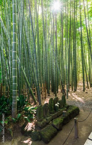 鎌倉 報国寺 竹林