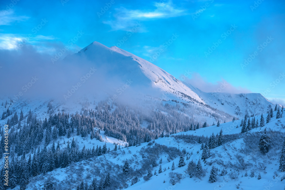 Obraz premium landscape