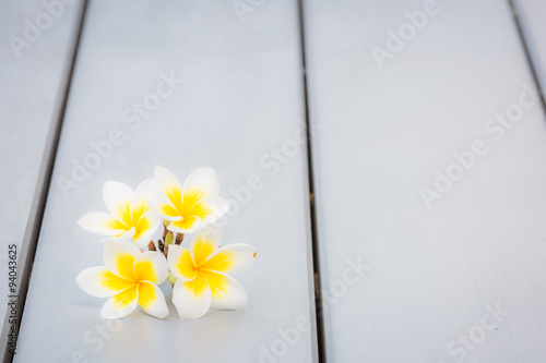 frangipani flower isolated on wooden background