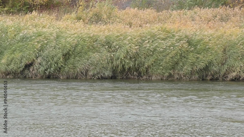 The Ural River is the natural boundary between Europe and Asia The Ural River is the natural boundary between Europe and Asia