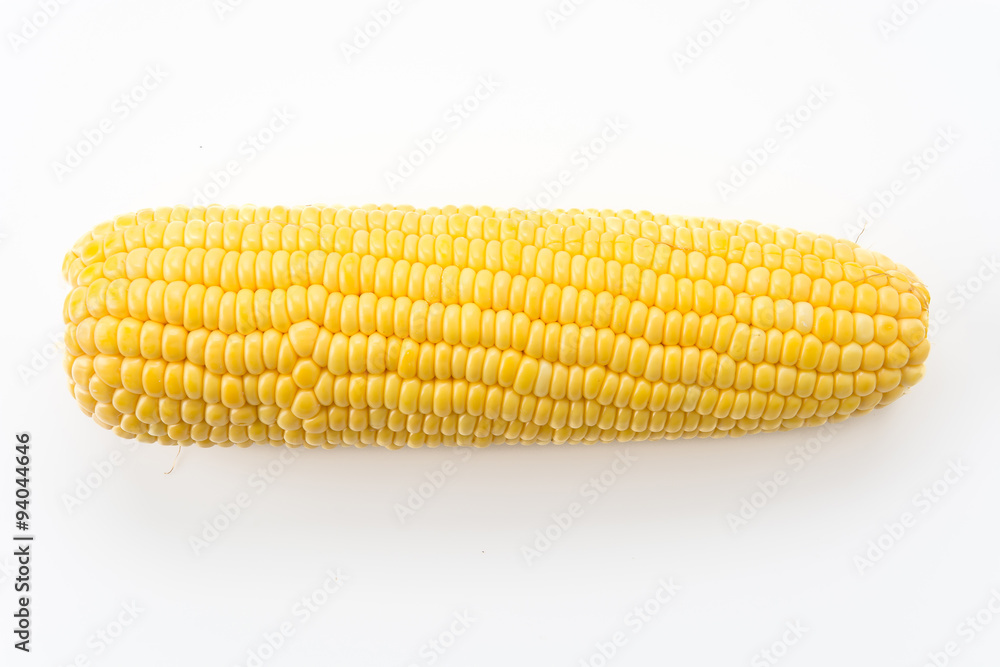 fresh corn fresh corn
