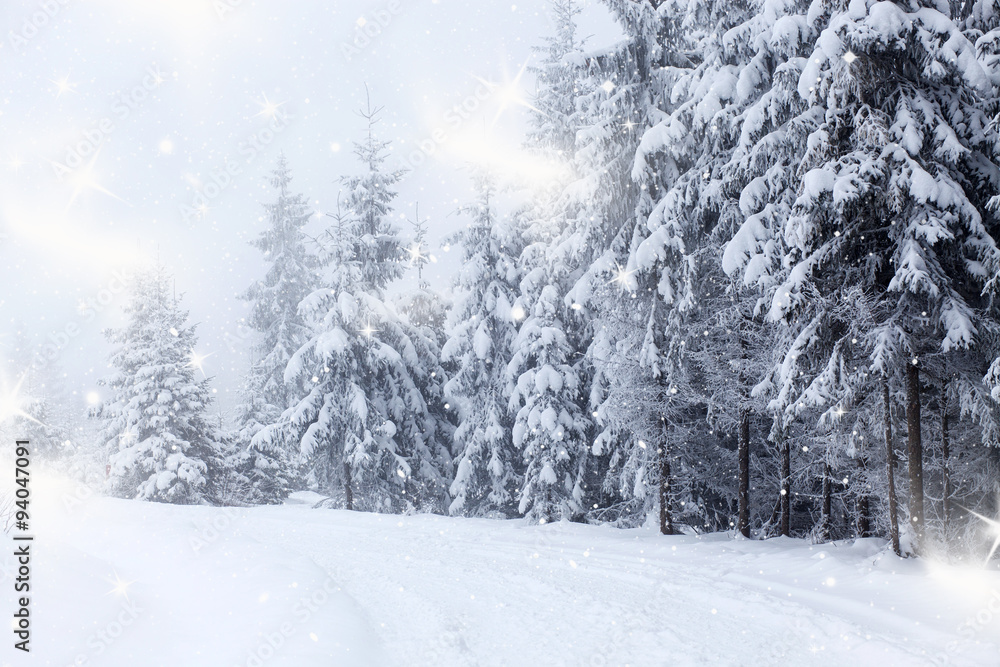 Obraz premium Christmas background with snowy fir trees