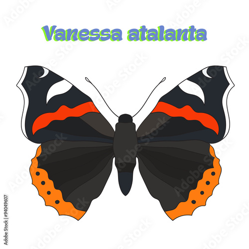 Butterfly vanessa atalanta vector illustration