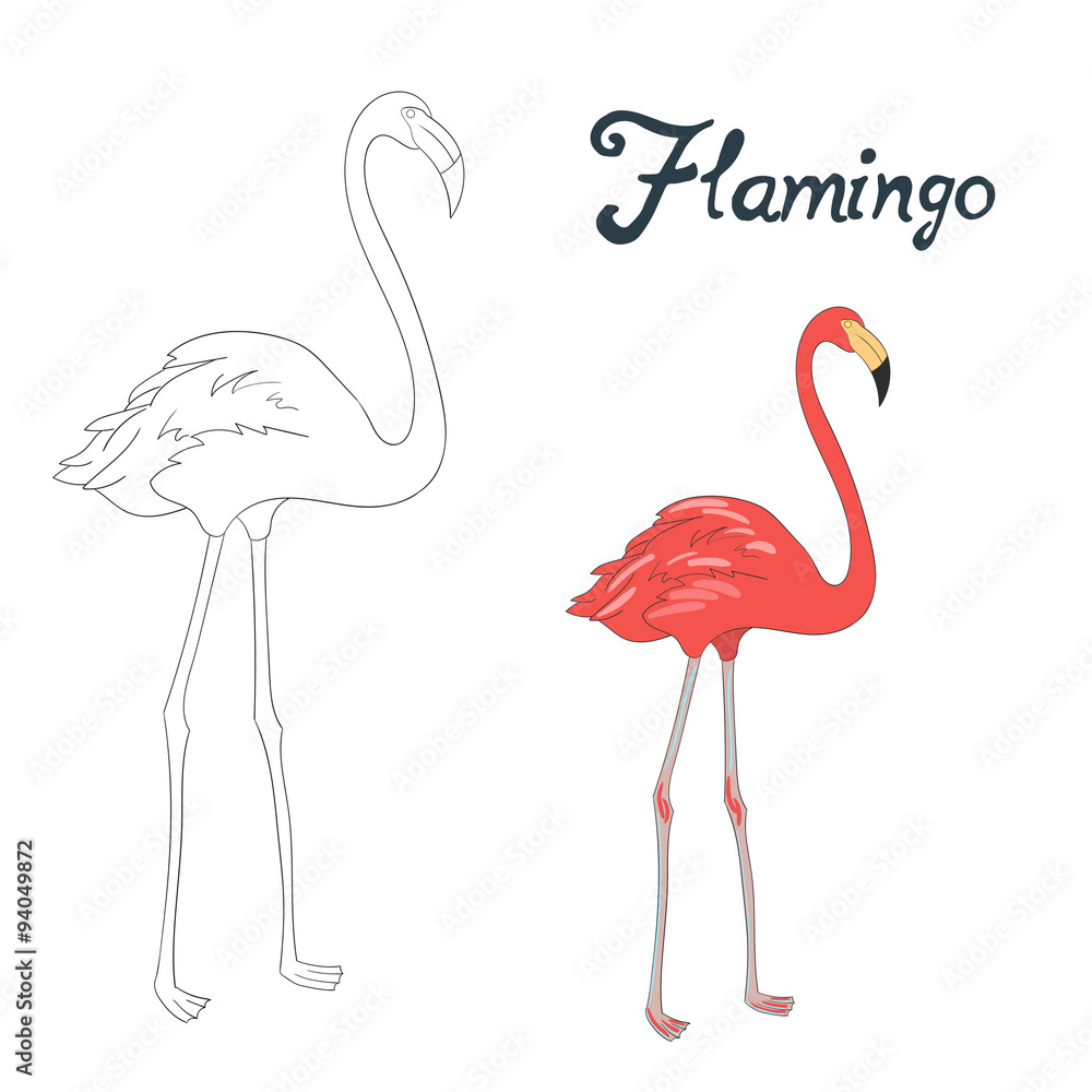 Obraz premium Educational game coloring book bird vector