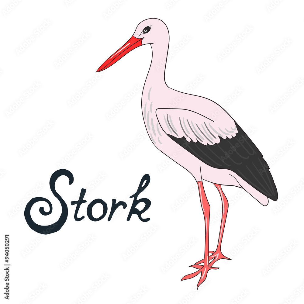 Fototapeta premium Bird stork vector illustration