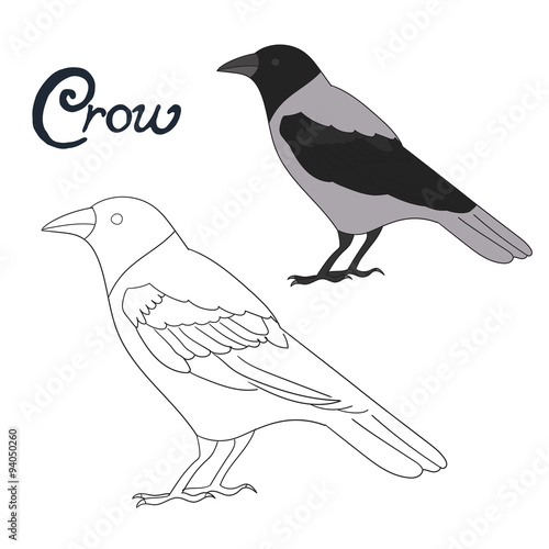 Educational game coloring book crow bird vector