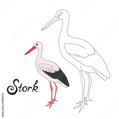 Educational game connect dots to draw stork bird