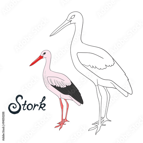 Educational game coloring book stork bird vector