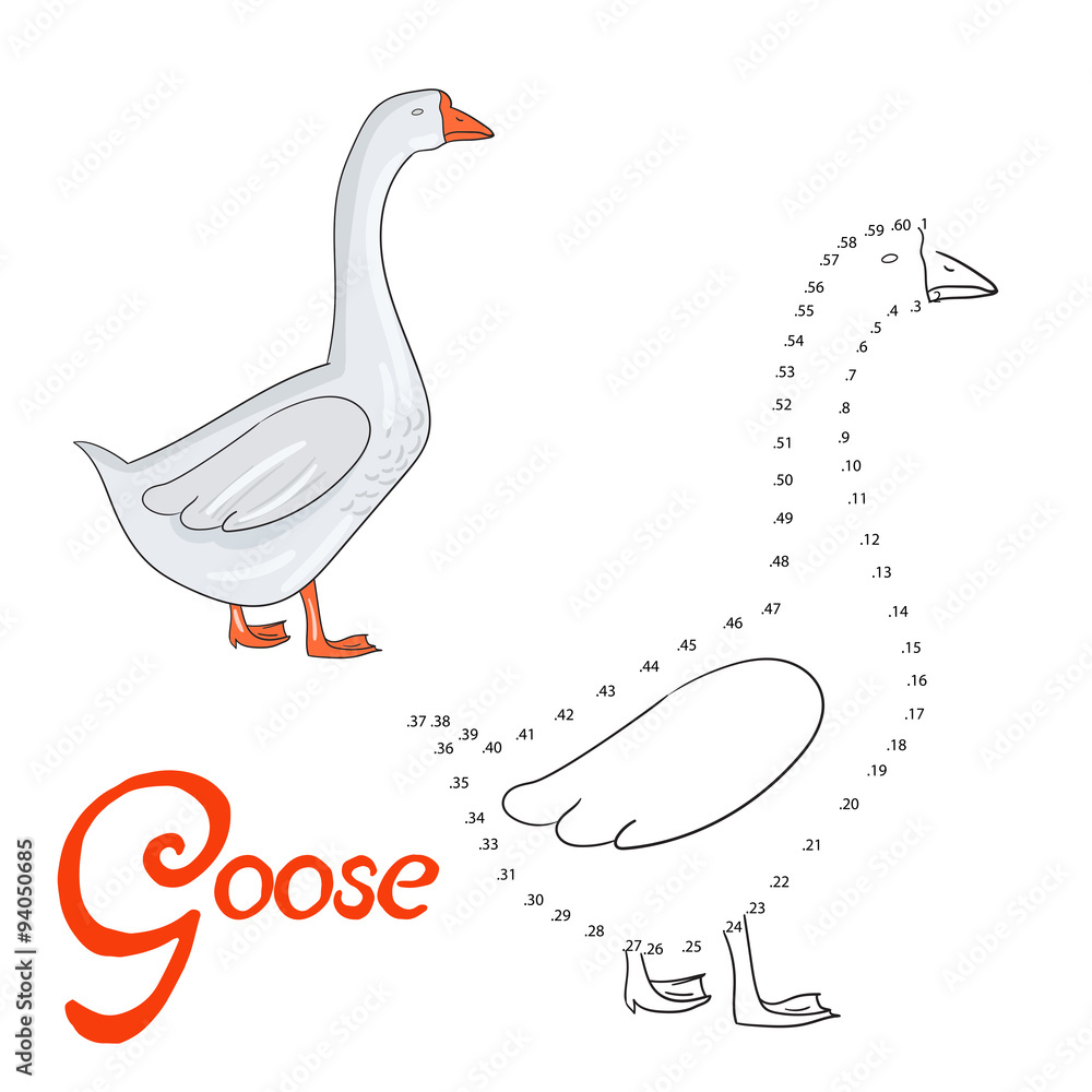 Fototapeta premium Educational game connect dots to draw goose bird