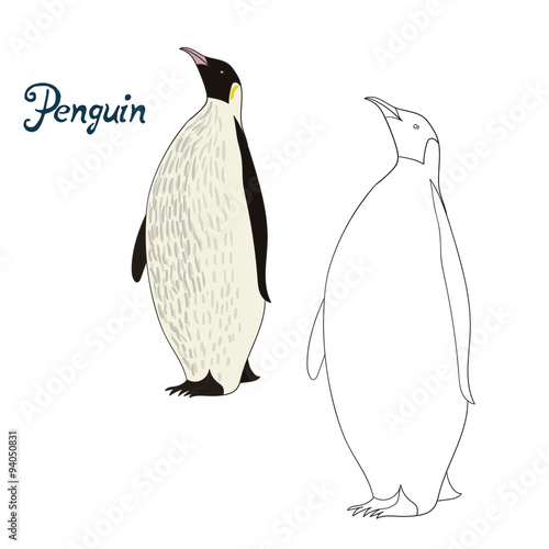 Educational game coloring book penguin bird vector