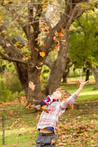 Happy little boy in the park