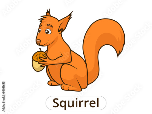 Forest animal squirrel cartoon for children vector