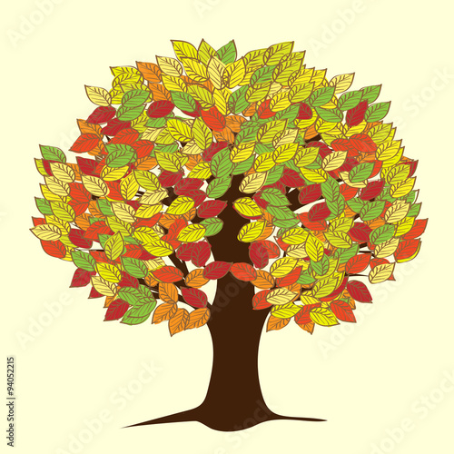 Large autumn tree with yellowed leaves