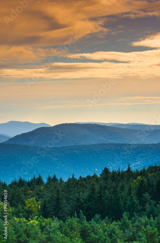 Pfälzer Wald Naturpark