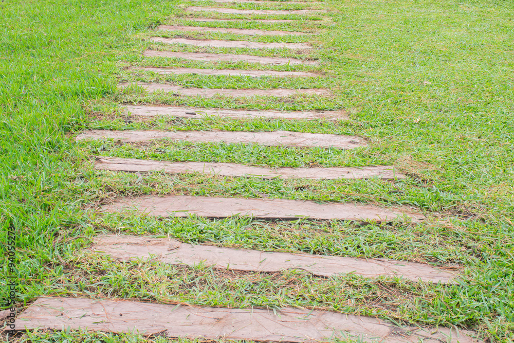 Mow the grass at walkway and the front yard