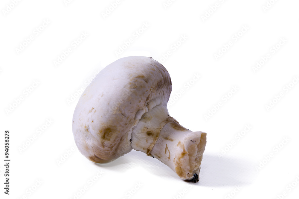 Fototapeta premium isolated mushrooms