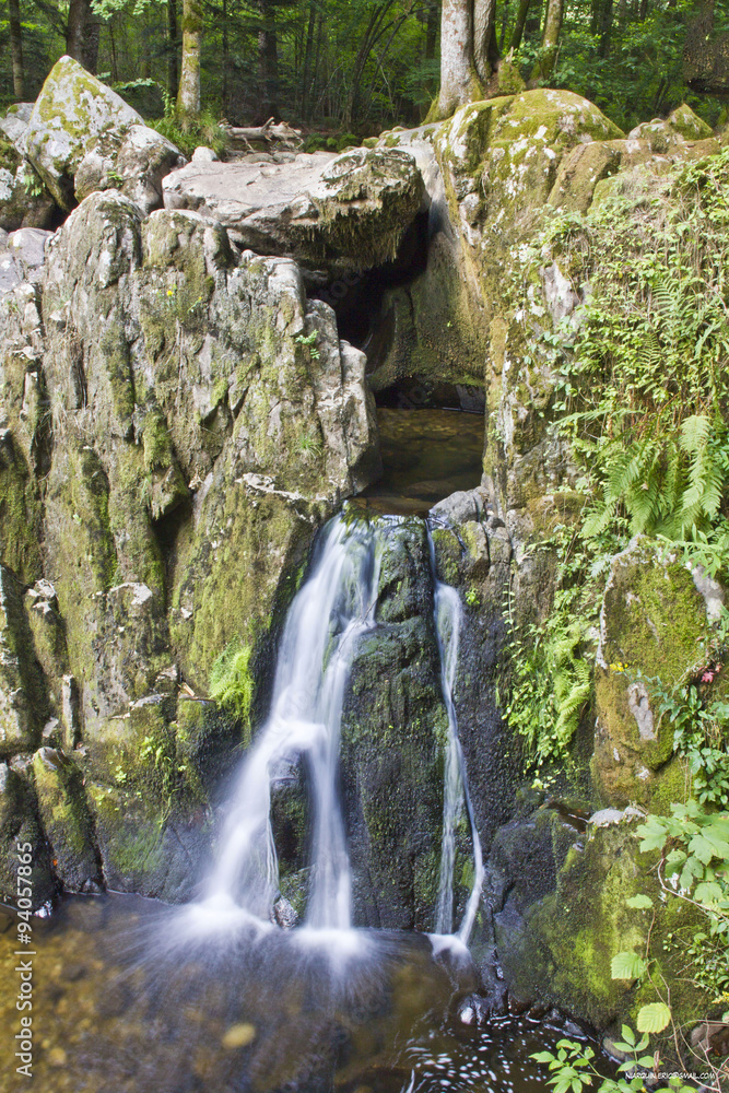 Fototapeta premium Chute d'eau en forêt, chute d'eau dans un lac, dans une forêt dans la région des Vosges pendant le moi de juillet.