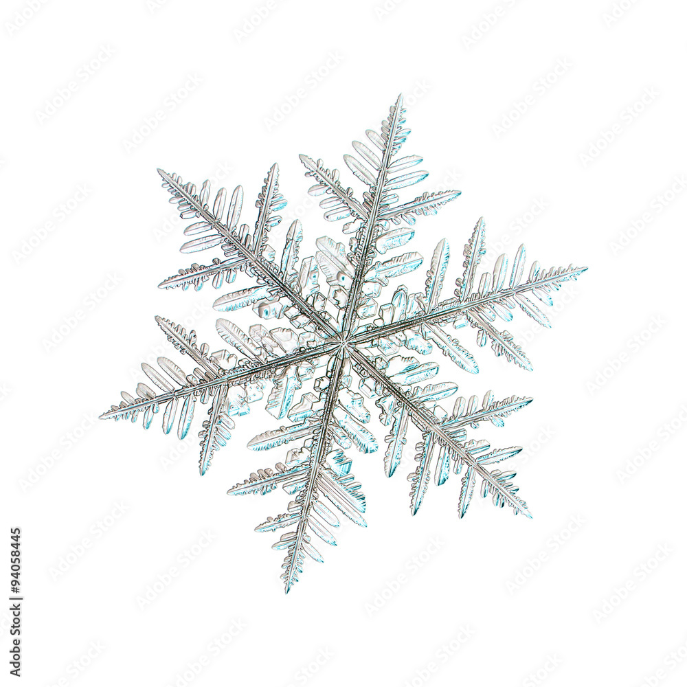 Real snowflake photo (large stellar dendrite crystal), isolated on white background Real snowflake photo (large stellar dendrite crystal), isolated on white background