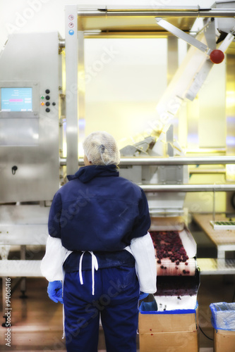 Frozen food factory worker standing in front of huge robotic line for automatic selection and packing of frozen raspberry.
