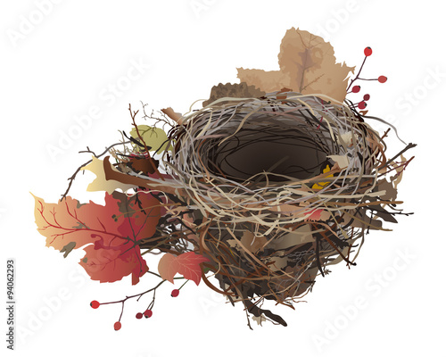 Bird's Nest in autumn.
Hand drawn vector illustration of an empty bird's nest with colorful fallen leaves, on white background.
