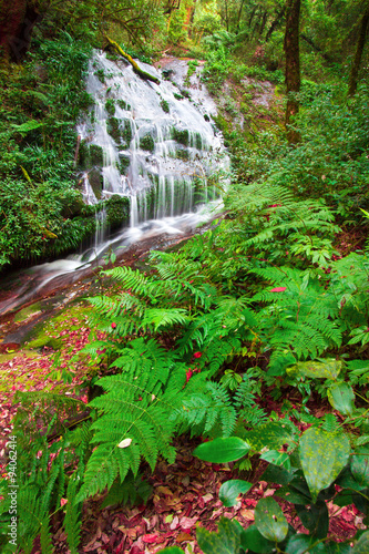 Larn Sa Dej waterfall photo