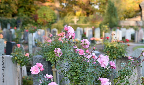 cimetière