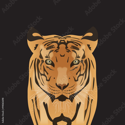 Fototapeta Naklejka Na Ścianę i Meble -  Flat vector portrait of a tiger. Beautiful face of a big cat with penetrating eyes.
