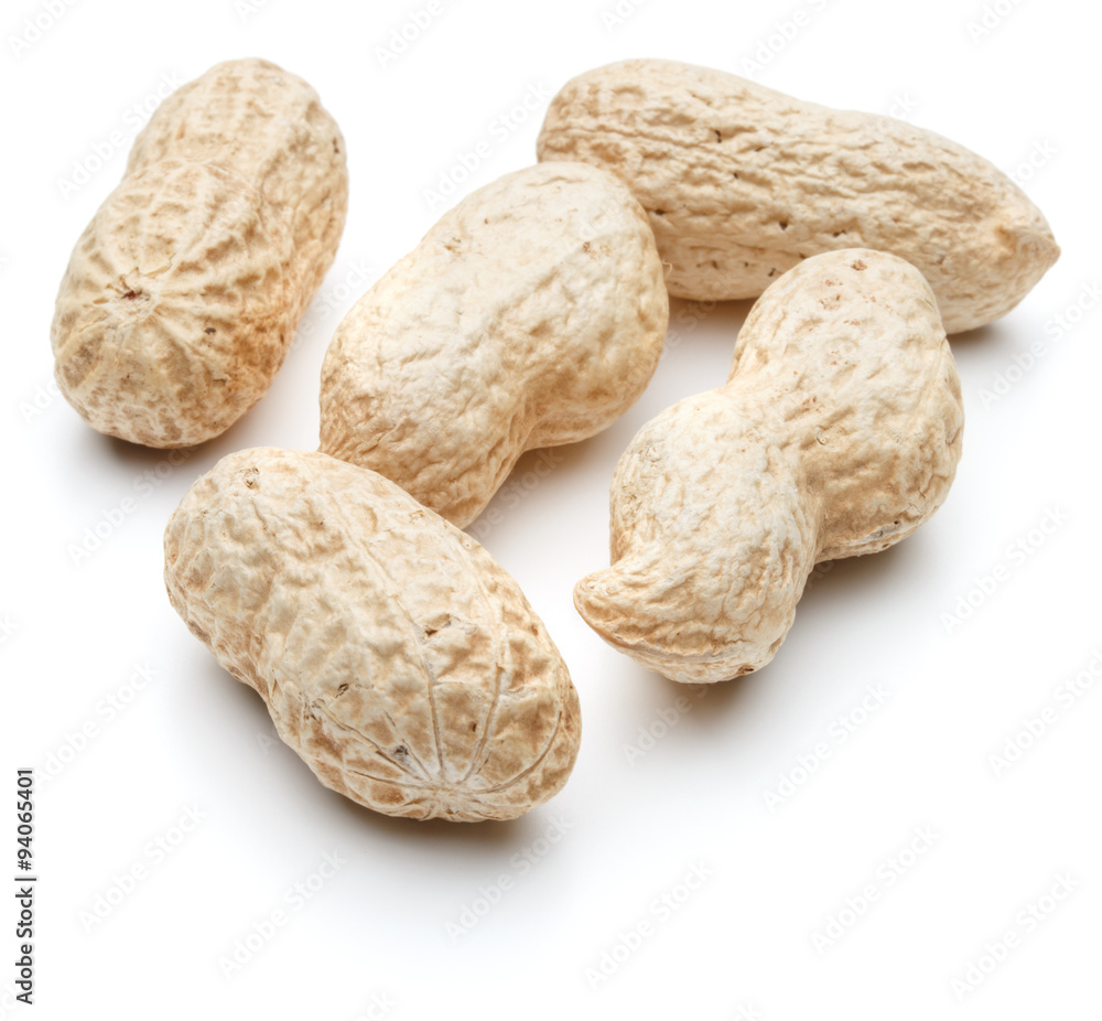 peanut pod or arachis isolated on white background cutout peanut pod or arachis isolated on white background cutout