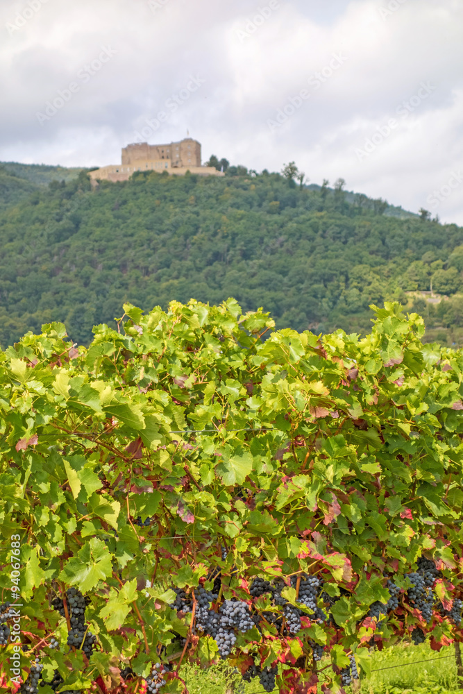 Castle Hambacher Schloss, view from vineyard