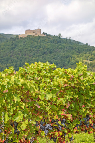 Castle Hambacher Schloss, view from vineyard