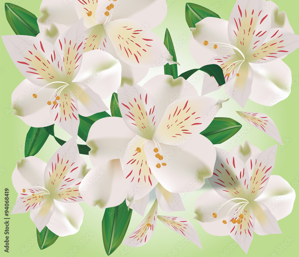 Obraz premium Realistic lily flower bouquet with green leaves. Vector