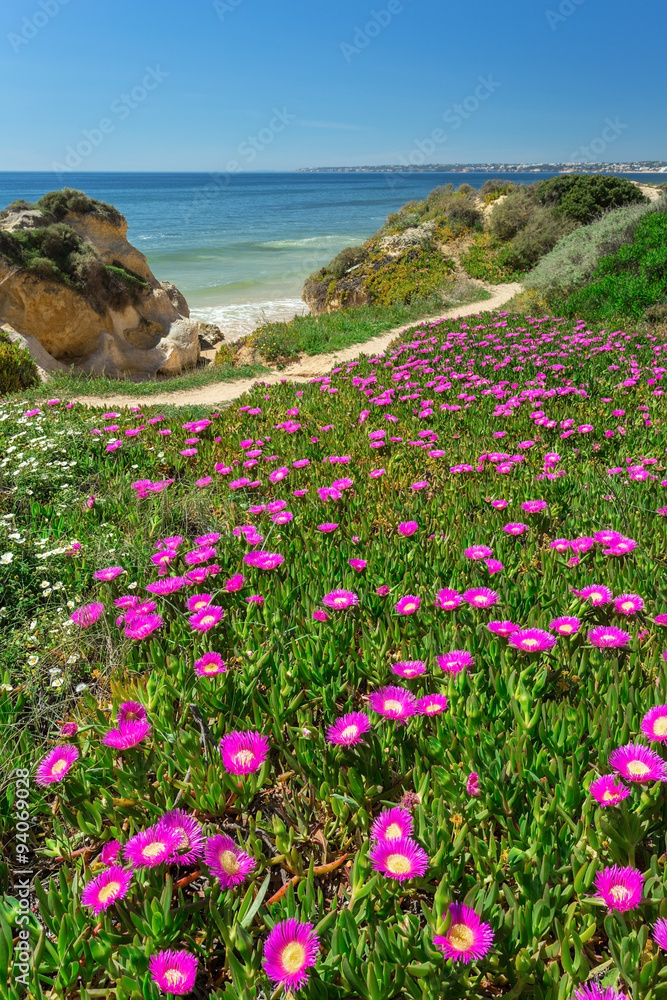 Fototapeta premium Vertical spring landscape beach Gale. Albufeira Portugal .