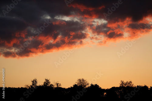 contrasting sunset over trees