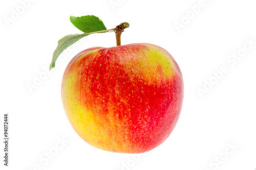 one apple with a leaf on a white background