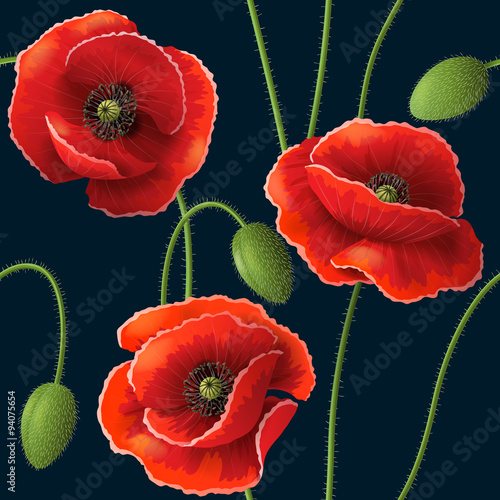 Fototapeta Naklejka Na Ścianę i Meble -  Poppy pattern on dark