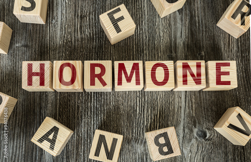Wooden Blocks with the text: Hormone photo