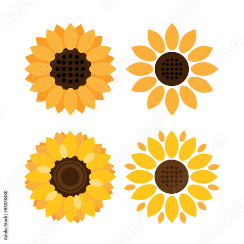 Colorful Sunflower vector icons on white background
