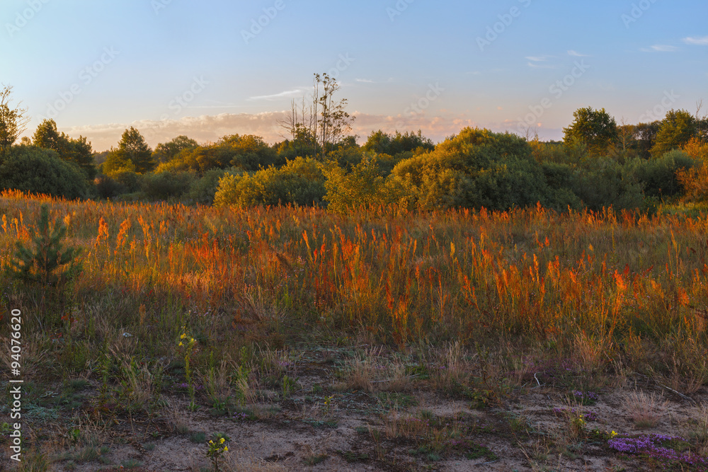 Fototapeta premium beautiful dawn.