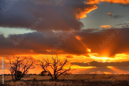 Nullarbor Plain  Australia