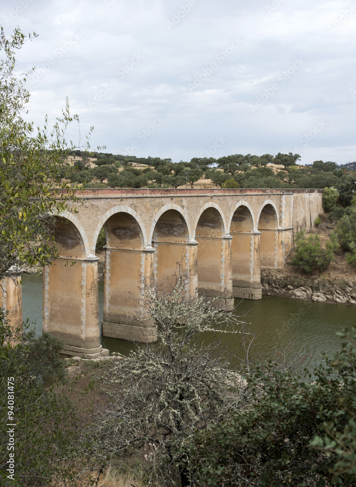 ponte de ardilla in portugal